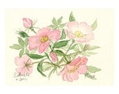 WILD ROSE -  Original watercolor Painting by Jamie Dauch Michigan artist