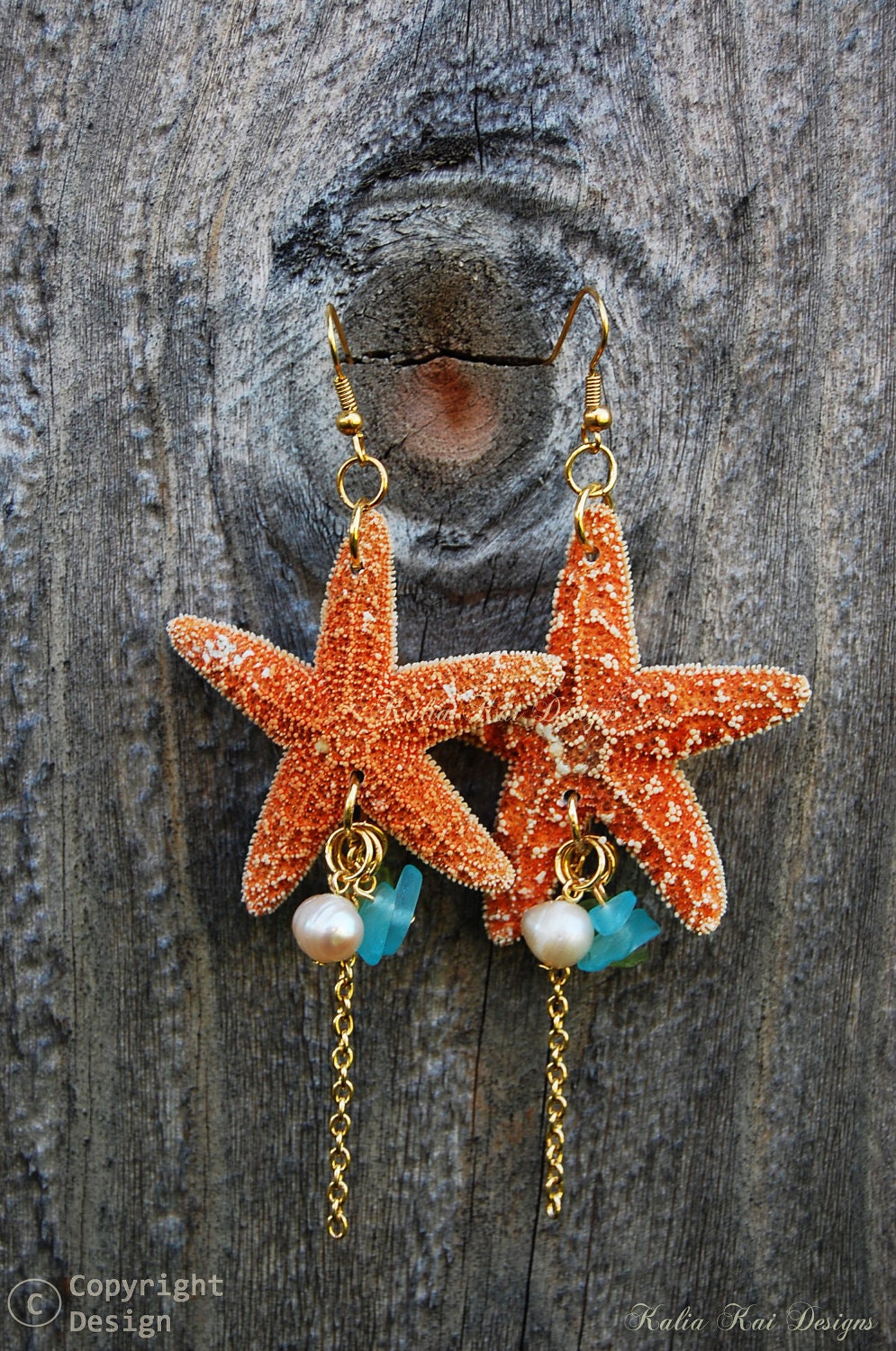 Real Starfish Dangle Earrings Starfish Hawaiian Sea Shell