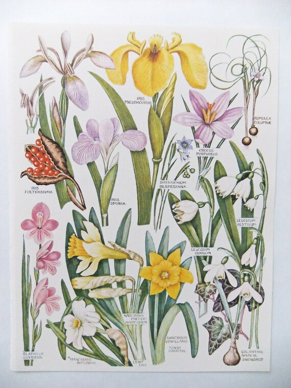 "Ästhetische Bilder Frühling":  Bringing Spring to Life Through Drawing