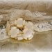 carved antique mother of pearl buttons . set of 8 unUsual shank buttons
