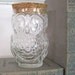 VintageOwl Jar - Storage Bottle with Cork