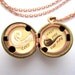 Pipe Locket- Hand-painted Original in Oil - Existential Thoughts in Miniature - Painted Pendant Necklace
