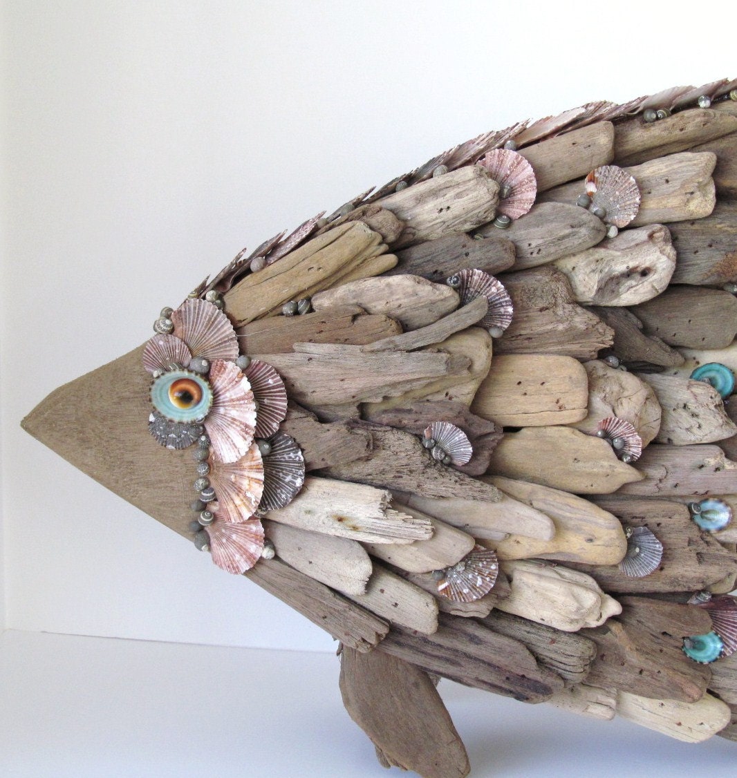 Driftwood Sculpture Fish Angelfish Shells