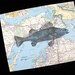 Perch GYOTAKU fish rubbing cottage decor print on Great Lakes Map