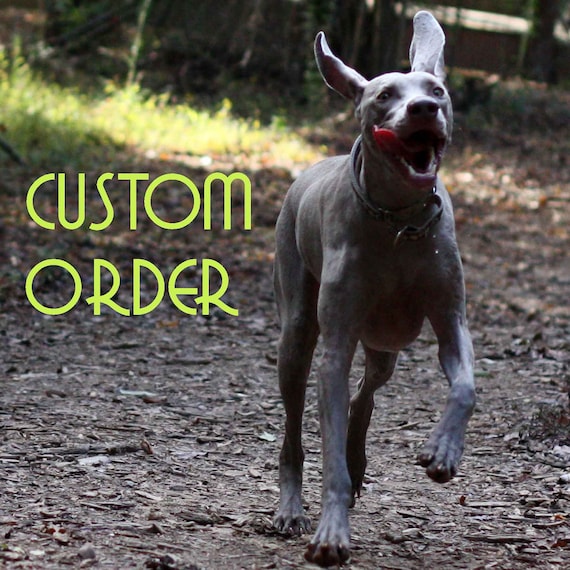 Custom Order for Kathleen