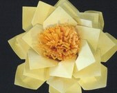 Origami Water Lily Flower