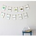Nature Themed Counting Number Cards in English