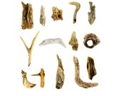 Driftwood - 12 x 12 photograph - tiny pieces of sea worn wood found on the coast of Maine