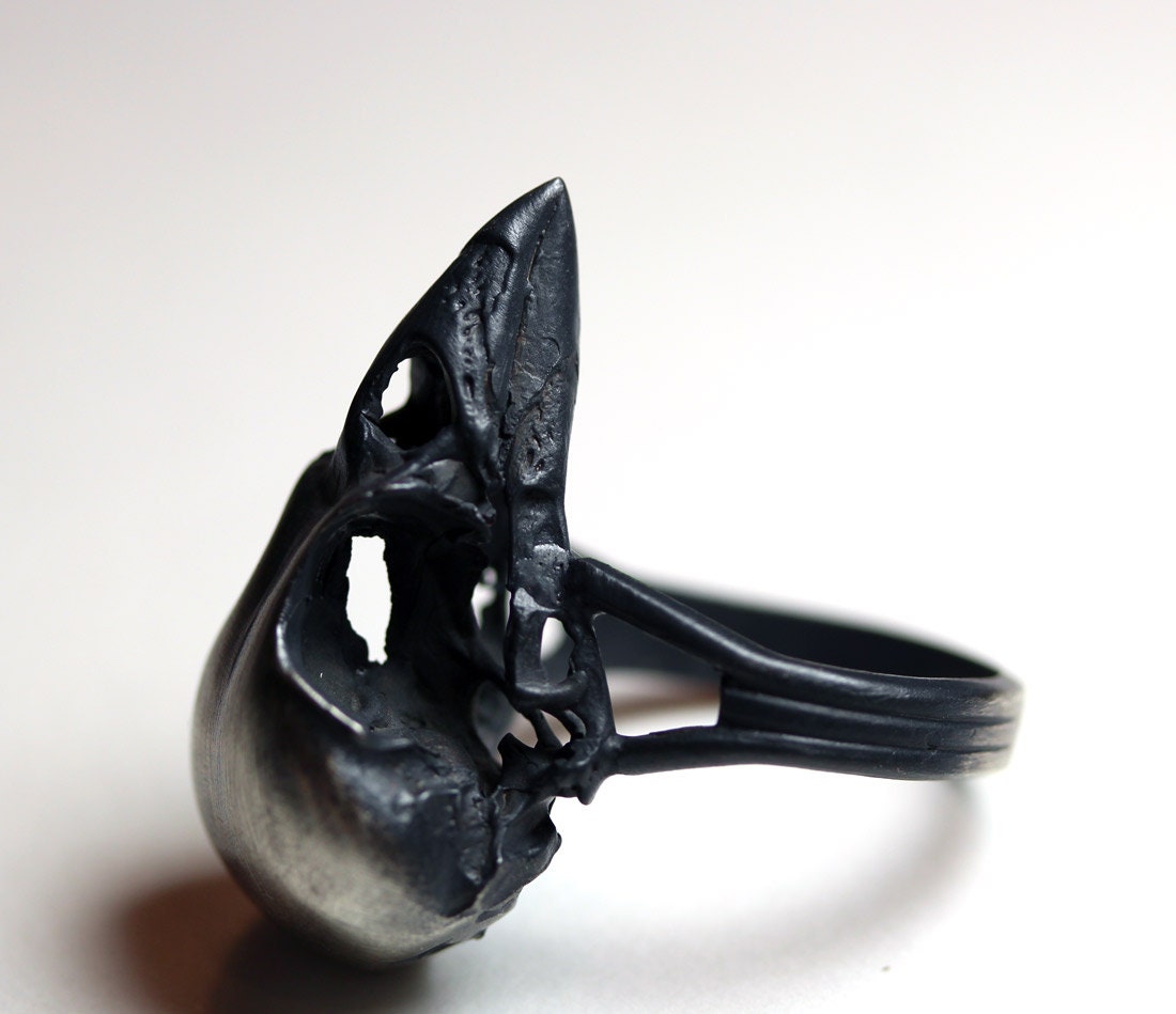 homeward bound. sparrow skull ring.