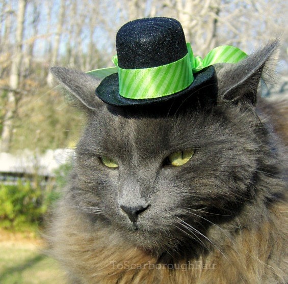 Cat Top Hat - Green, Bright Chartreuse Pet Hat