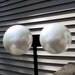 Summer Sale Vintage Coro Pearl disc Earrings clip on