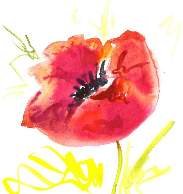 Original watercolor painting of a red poppy by Elina Lorenz. One of a kind.