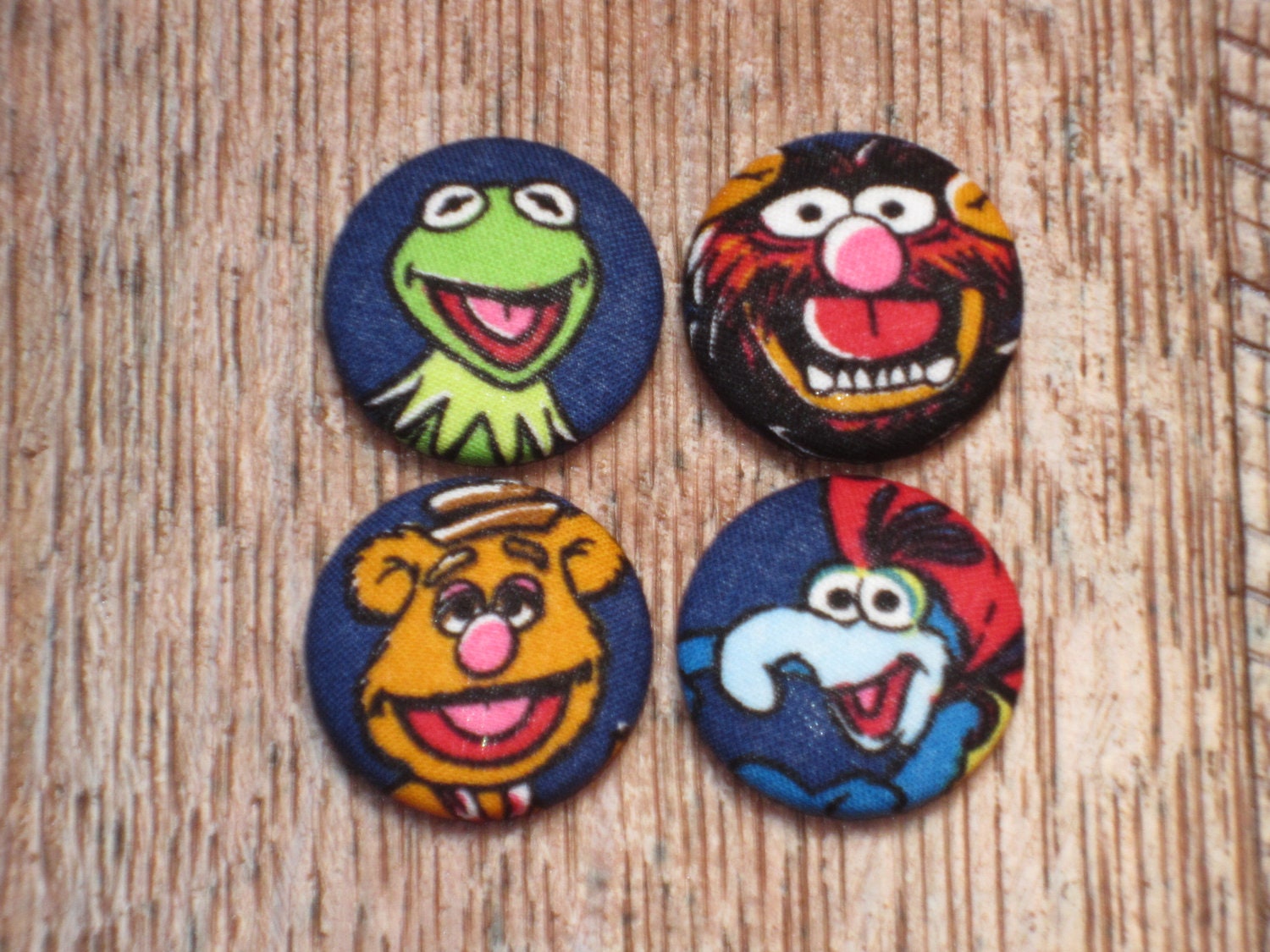 The Muppets Magnet Gift Set