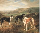 Three Greyhounds in Countryside Greyhound Dogs Vintage Image Cards