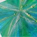 Abstract acrylic painting - Original abstract, contemporary wall art canvas - Revelation