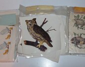 27 Owl and Duck Decals
