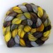 OWLS - Mixed BFL Hand Painted Roving - 4ozs