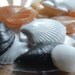 Seashell Soap - A Day At The Beach Glycerin Soap Shells