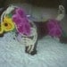 Brown Chenille Weiner Dog with Yellow and Purple Daisies-CUTE