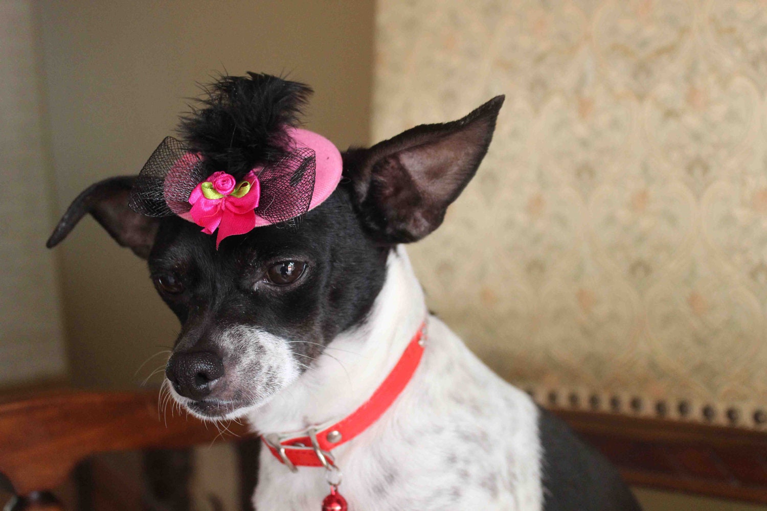 Cute pink color mini hat with feather and flowers for dog or cat