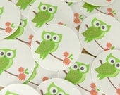 Stickers Envelope Seals Green Owls SES124