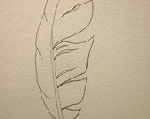Sea bird feather -- original ink drawing