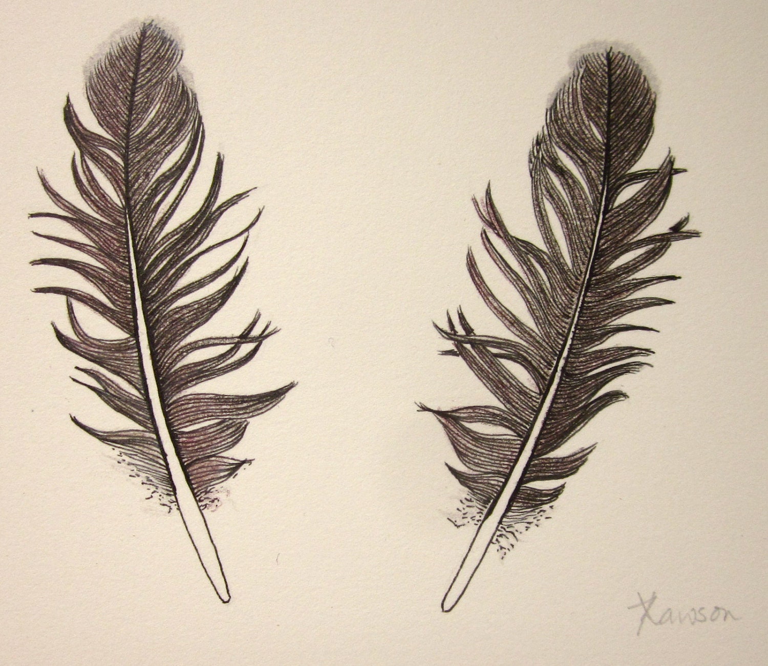 2 Black Feathers original pen and ink drawing by anne4bags