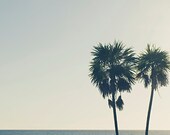 gift under 50 Beach photography ocean art palm tree photo beach photograph blue boho coastal wall art california photo 8x8 los angeles