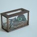 Dollhouse Miniature Snake Vivarium