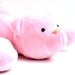 Stuffed Bear Plushie