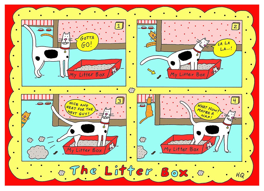 Cat Litter Box Card Black White Orange Tabby