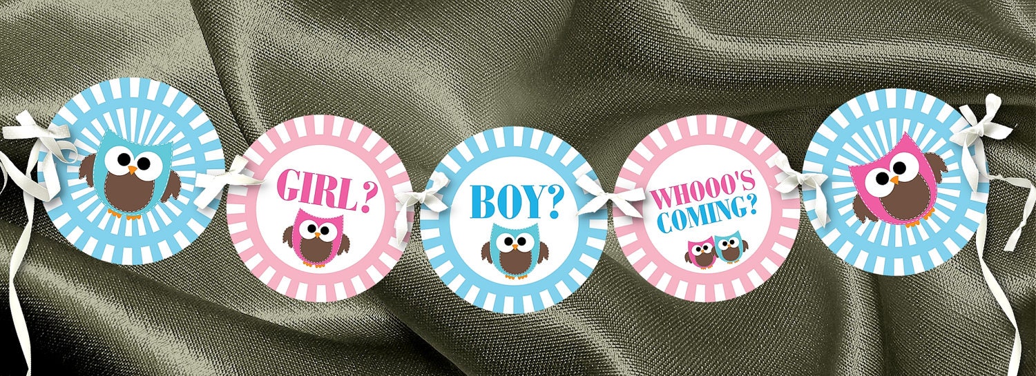 Baby Gender Reveal Party Banner, Baby Shower, Pink, Blue, Owls Il_570xn