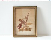SALE Fern and Fungi Framed Artwork