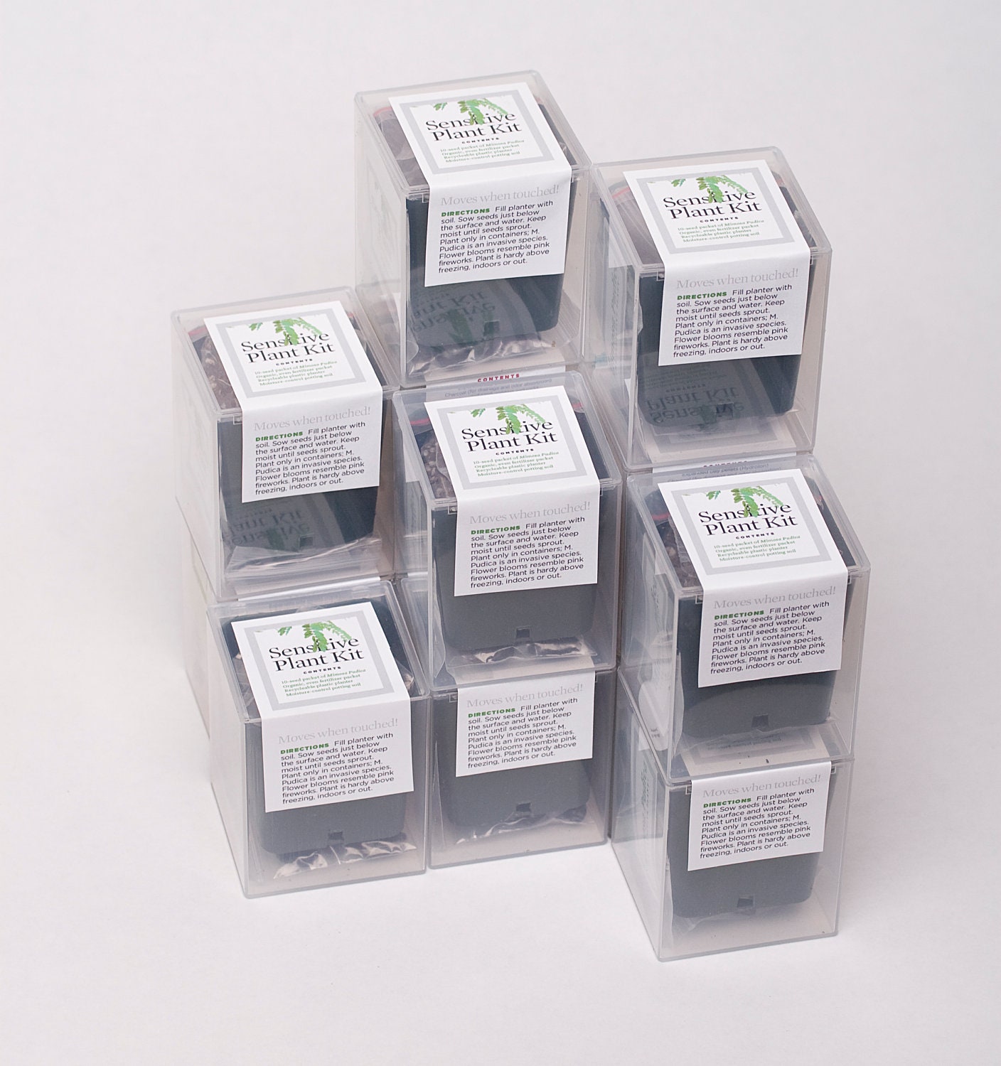 BOX OF 10 -- Sensitive Plant Kit -- It Moves When Touched