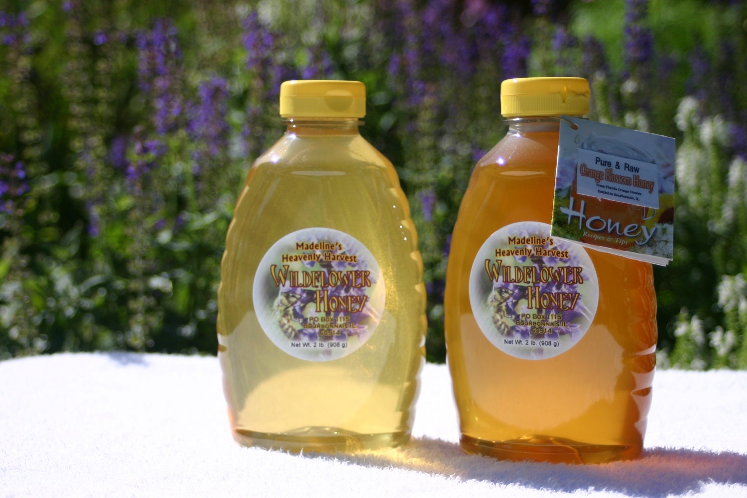 2- 2lb raw wildflower honey squeeze bottles (FREE SHIPPING)