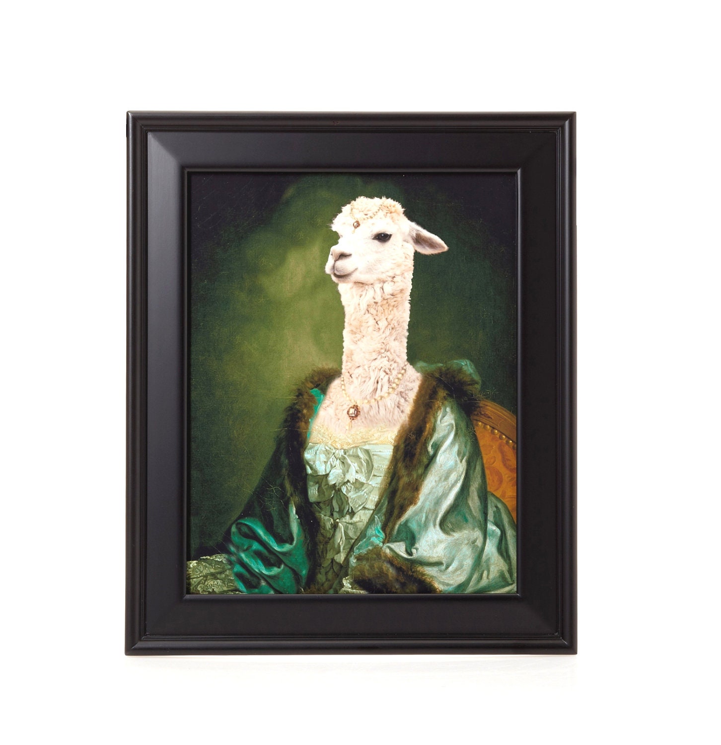 Imperatrice Vicugna -  Framed Print 14.4" X 17.4"