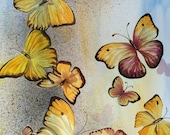 Original watercolor, butterflies