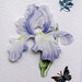 Blue Iris Hand-Crafted 3D Decoupage Card - Blank for any Occasion (1493)