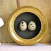 Florentine Bird Egg Shadowbox