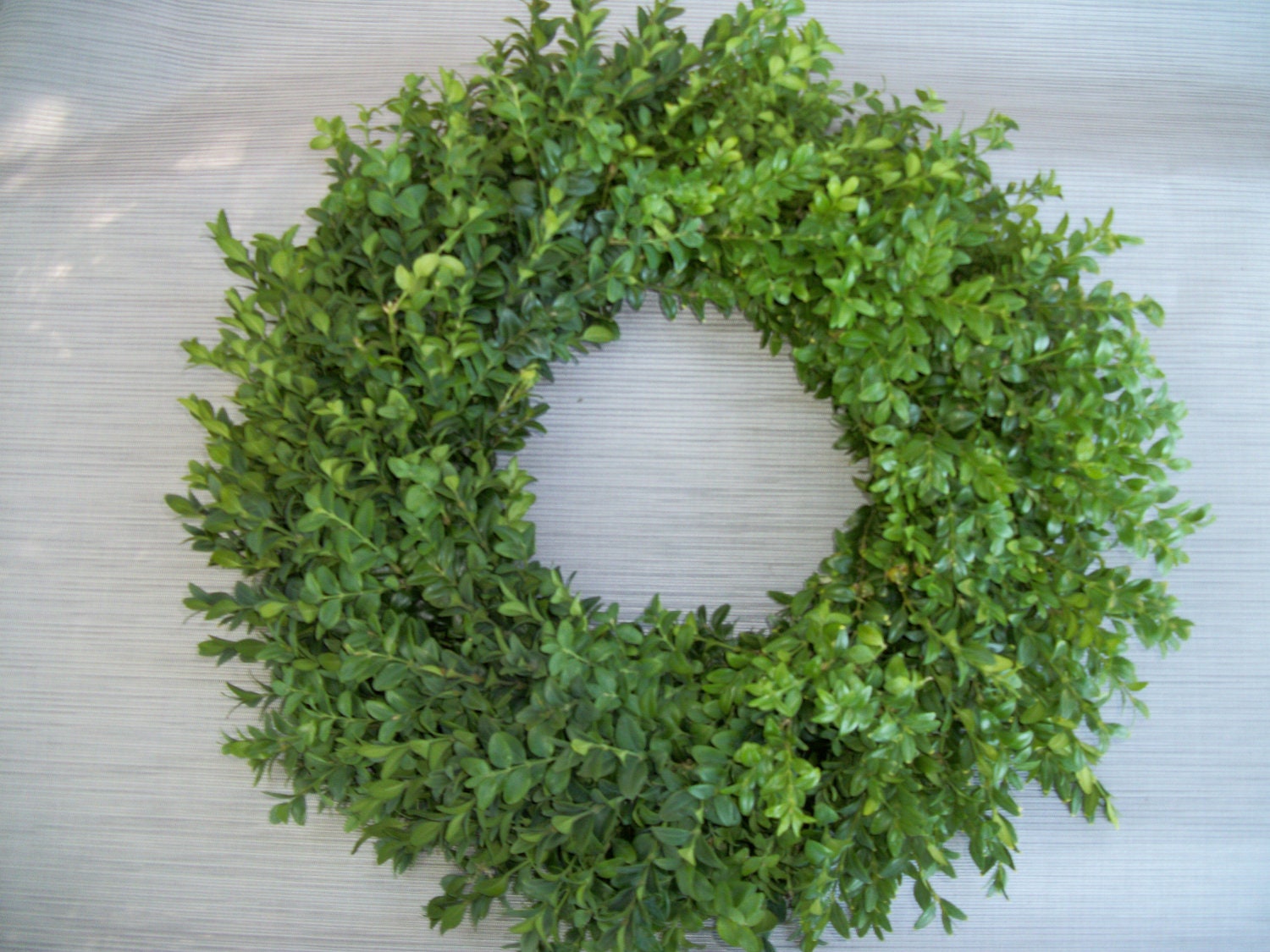 fresh boxwood wreath