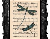 Dancing to the music DRAGONFLy ART on antique music page DRAGONFLY art dictionary book page art print antique dragonflies