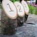 5 Tall Engraved Table Numbers From a Fallen Tree