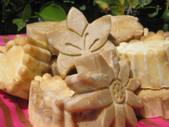 Cocoa & Honey Loofah Soap with Shea Butter