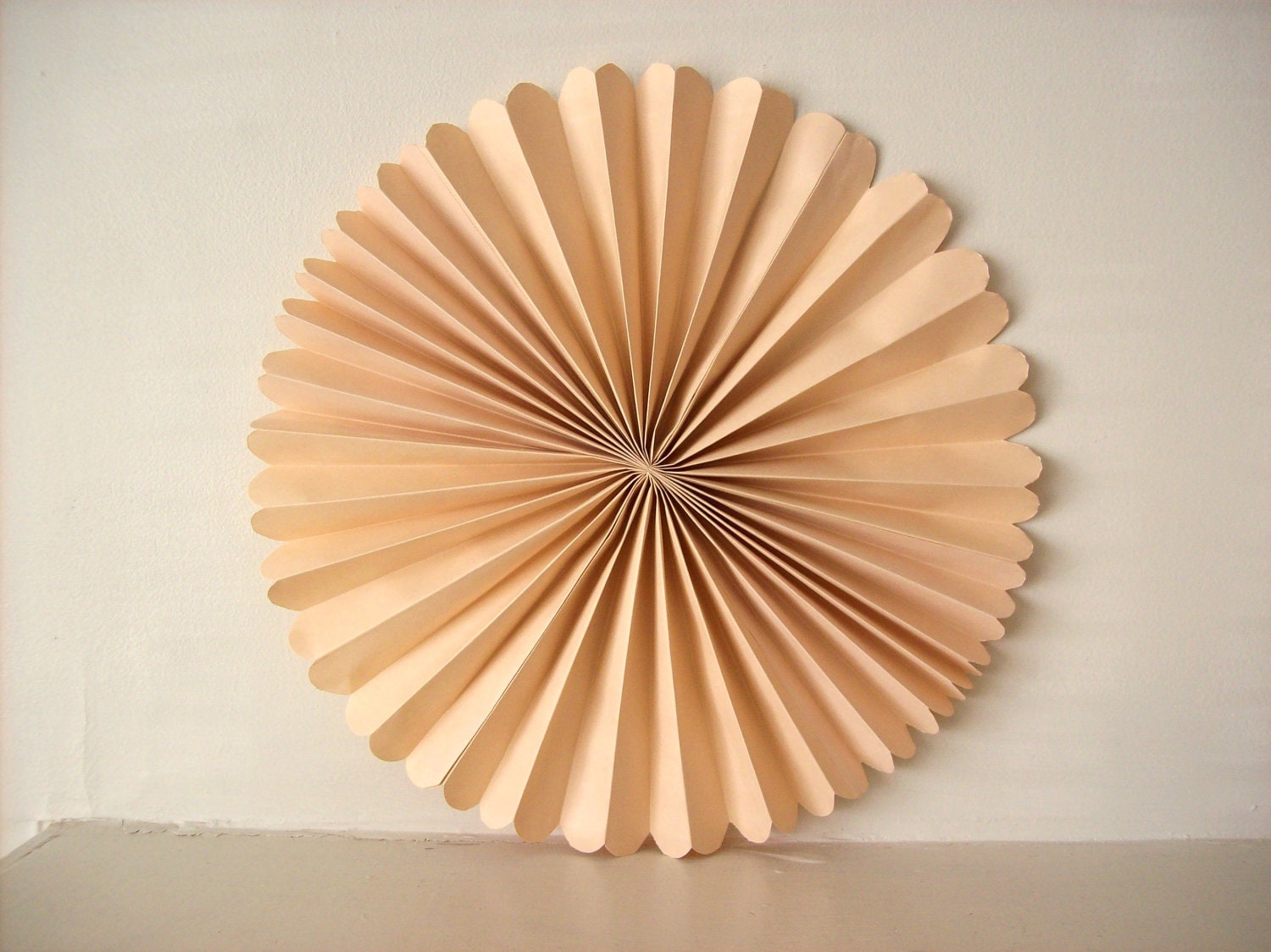 Tan Fan flowers
