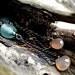 Graduation : Of the Sea - Sterling Silver, Moonstone, and Aqua Sea Glass