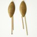 Brass shield earrings, dangle