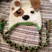 Bubble Guppies Bubble Puppy Crochet Winter Hat
