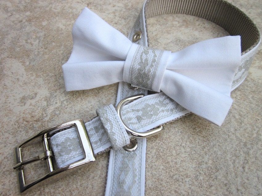 Wedding Dog Collar with Bow Tie Attachment