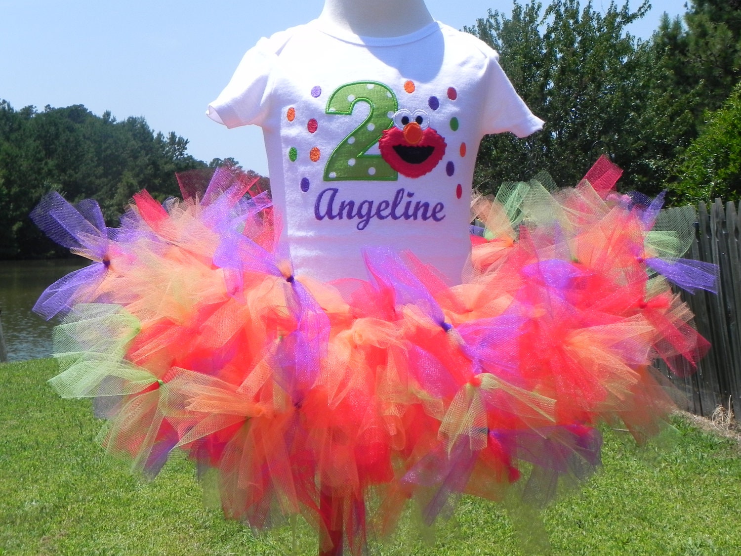 Elmo Birthday - Elmo Tutu - 2nd Birthday - Elmo Petti Tutu Outfit - w/Child's Name