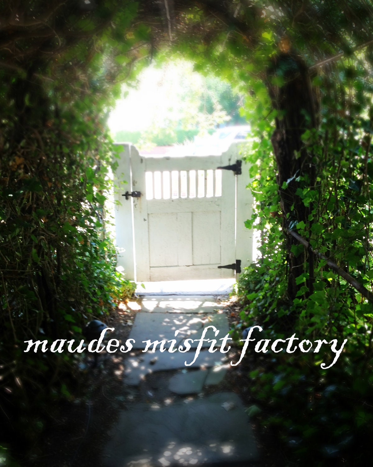 fine art PHOTOGRAPHY - gate, vines, COBBLESTONE